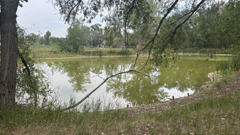 Enlarge photo 120
