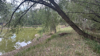 Enlarge photo 121