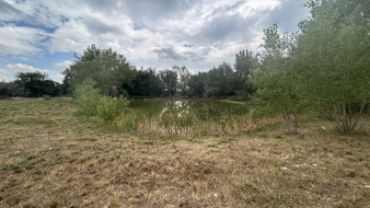 Enlarge photo 122