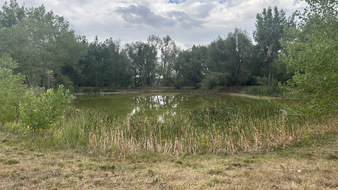 Enlarge photo 123