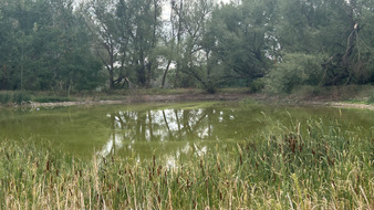 Enlarge photo 124