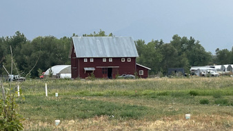 Enlarge photo 44