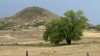 Enlarge photo 47