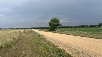 Enlarge photo 1
