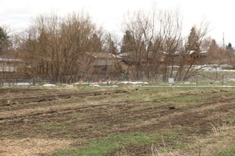 Enlarge photo 203