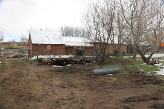 Enlarge photo 195