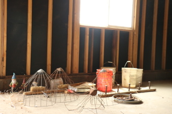 Enlarge photo 172