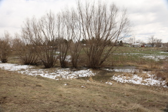Enlarge photo 161