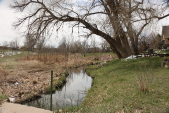 Enlarge photo 155