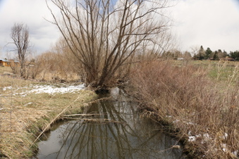 Enlarge photo 154