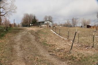 Enlarge photo 152