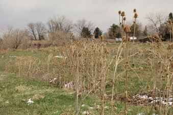 Enlarge photo 151