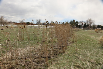 Enlarge photo 150