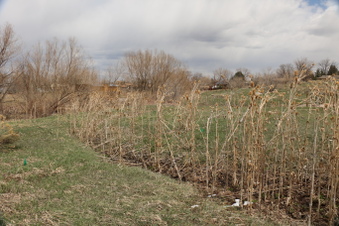 Enlarge photo 149