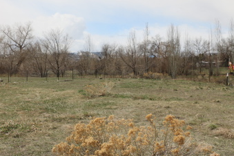 Enlarge photo 147