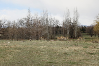Enlarge photo 145