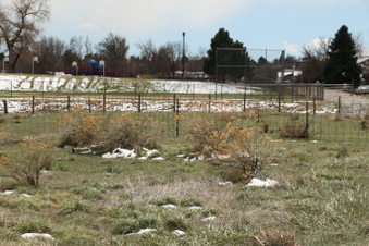 Enlarge photo 141