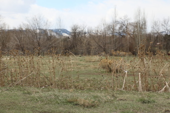 Enlarge photo 140