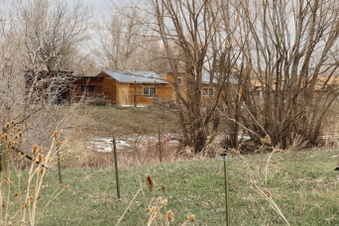 Enlarge photo 137
