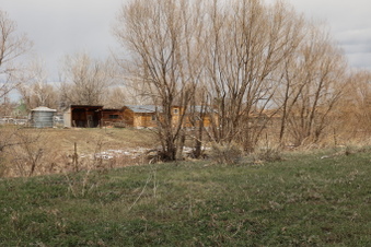 Enlarge photo 134