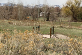 Enlarge photo 131