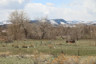 Enlarge photo 129