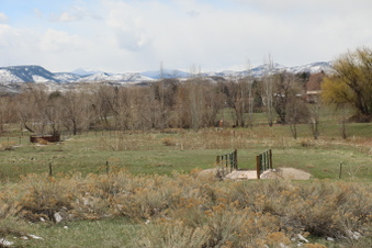 Enlarge photo 128