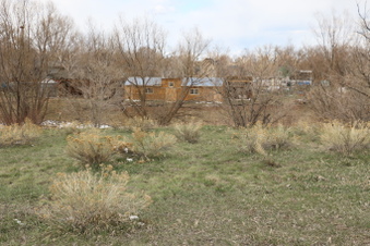 Enlarge photo 133