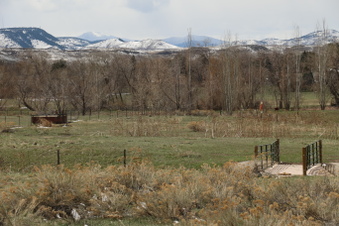 Enlarge photo 127