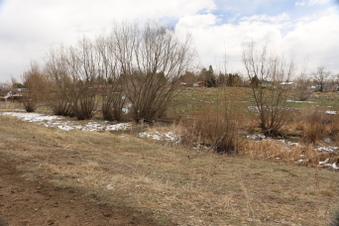 Enlarge photo 125