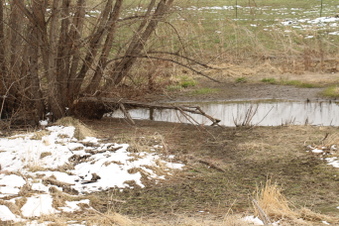 Enlarge photo 124