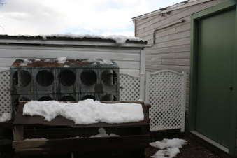 Enlarge photo 102