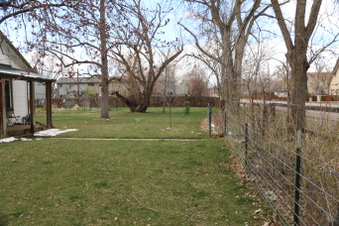 Enlarge photo 57