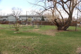 Enlarge photo 51