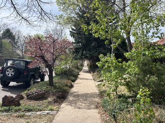 Enlarge photo 20