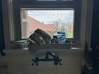 Enlarge photo 83