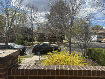 Enlarge photo 54