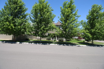 Enlarge photo 5