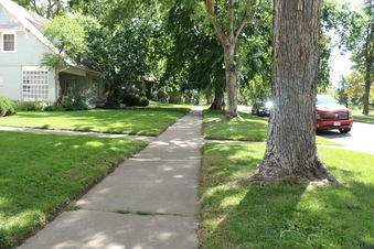 Enlarge photo 5