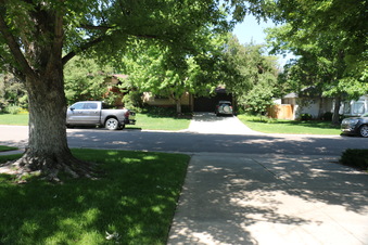 Enlarge photo 115