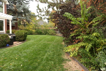 Enlarge photo 35