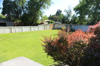 Enlarge photo 23