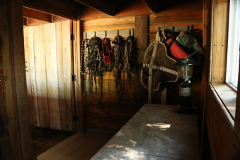 Enlarge photo 61