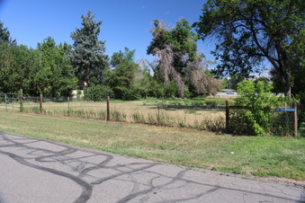 Enlarge photo 93