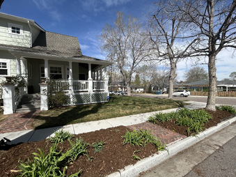 Enlarge photo 41