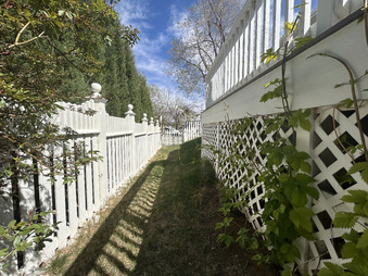 Enlarge photo 153