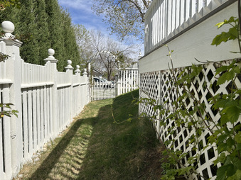 Enlarge photo 154