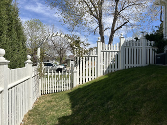 Enlarge photo 155