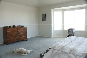 Enlarge photo 51