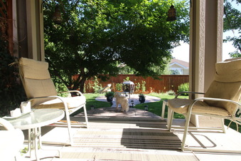 Enlarge photo 63